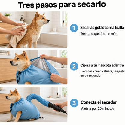 Secador de pelo para perros